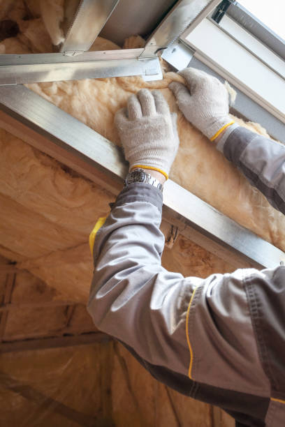 Best Commercial Insulation Services  in Dilley, TX